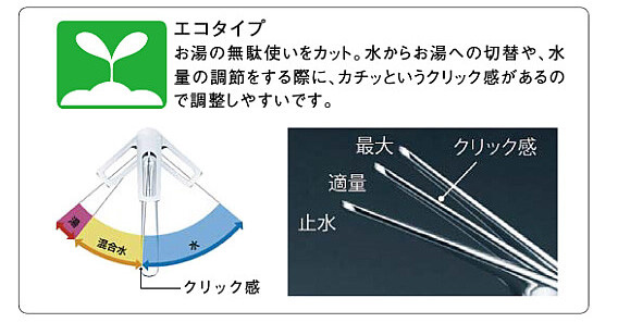 エコタイプ